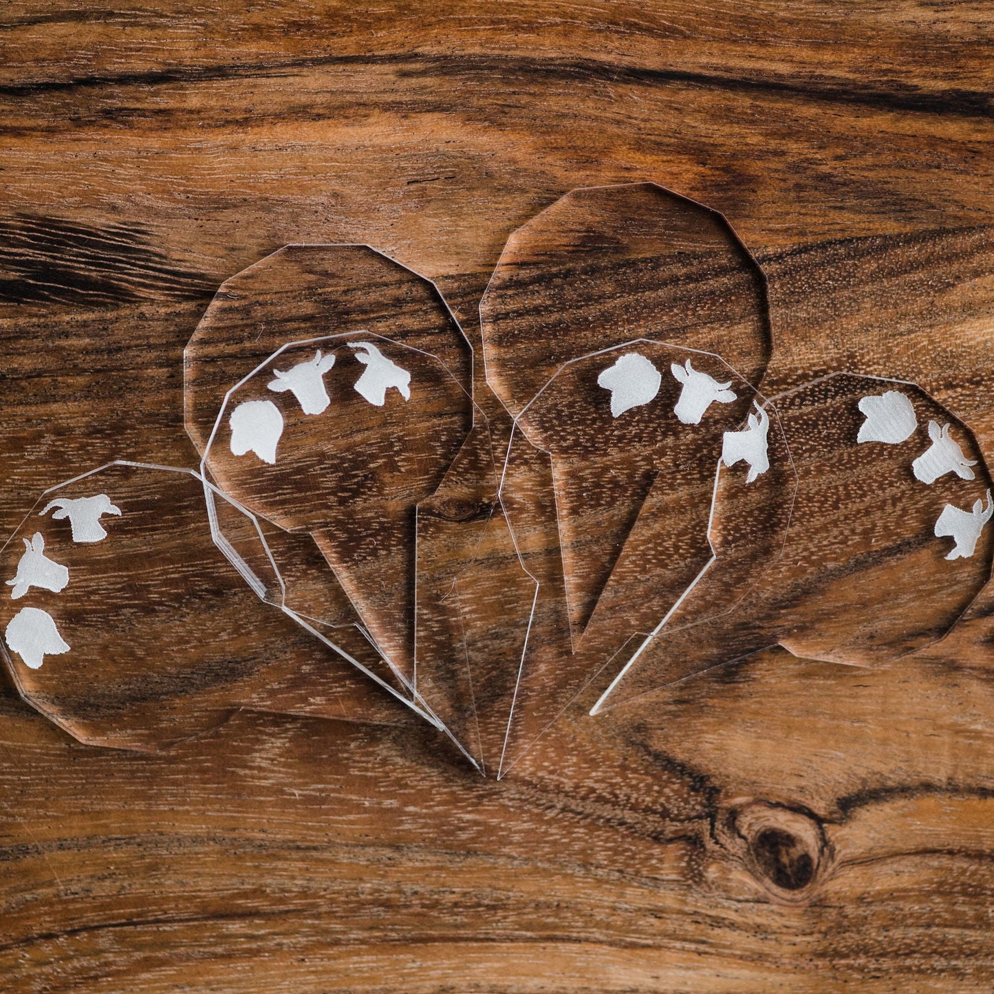 Dry-Erase Cheese labels - laser cut clear acrylic with animal heads - by LeeMo Designs in Bend, Oregon