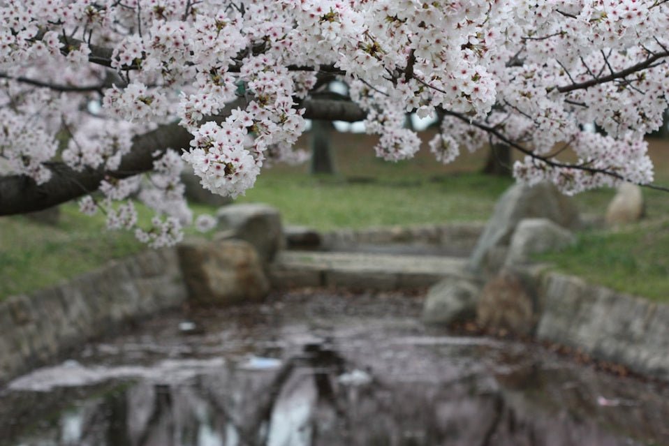 Color Me Pink, Color Me Happy, Gimme Some Spring! - LeeMo Designs