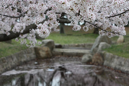 Color Me Pink, Color Me Happy, Gimme Some Spring! - LeeMo Designs