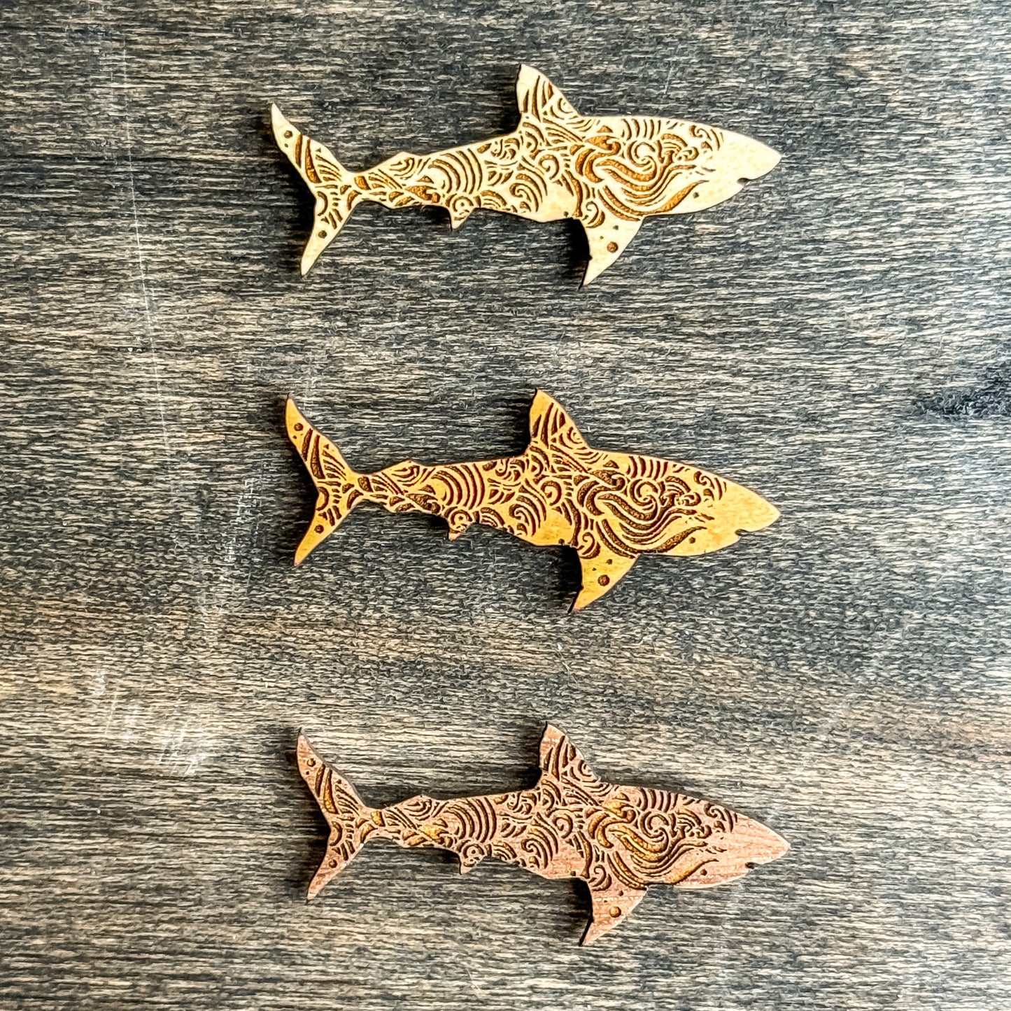 Shark Magnets