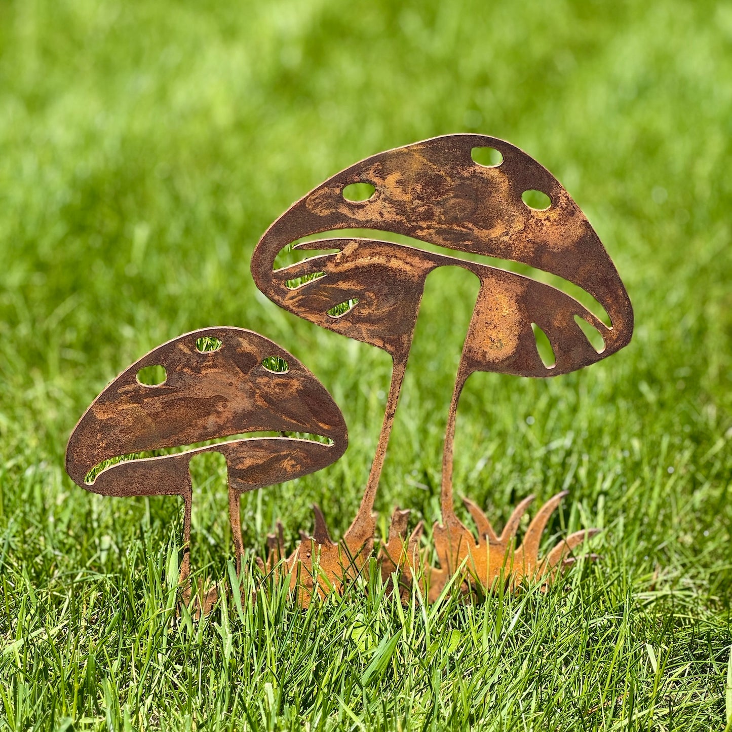 Mushrooms
