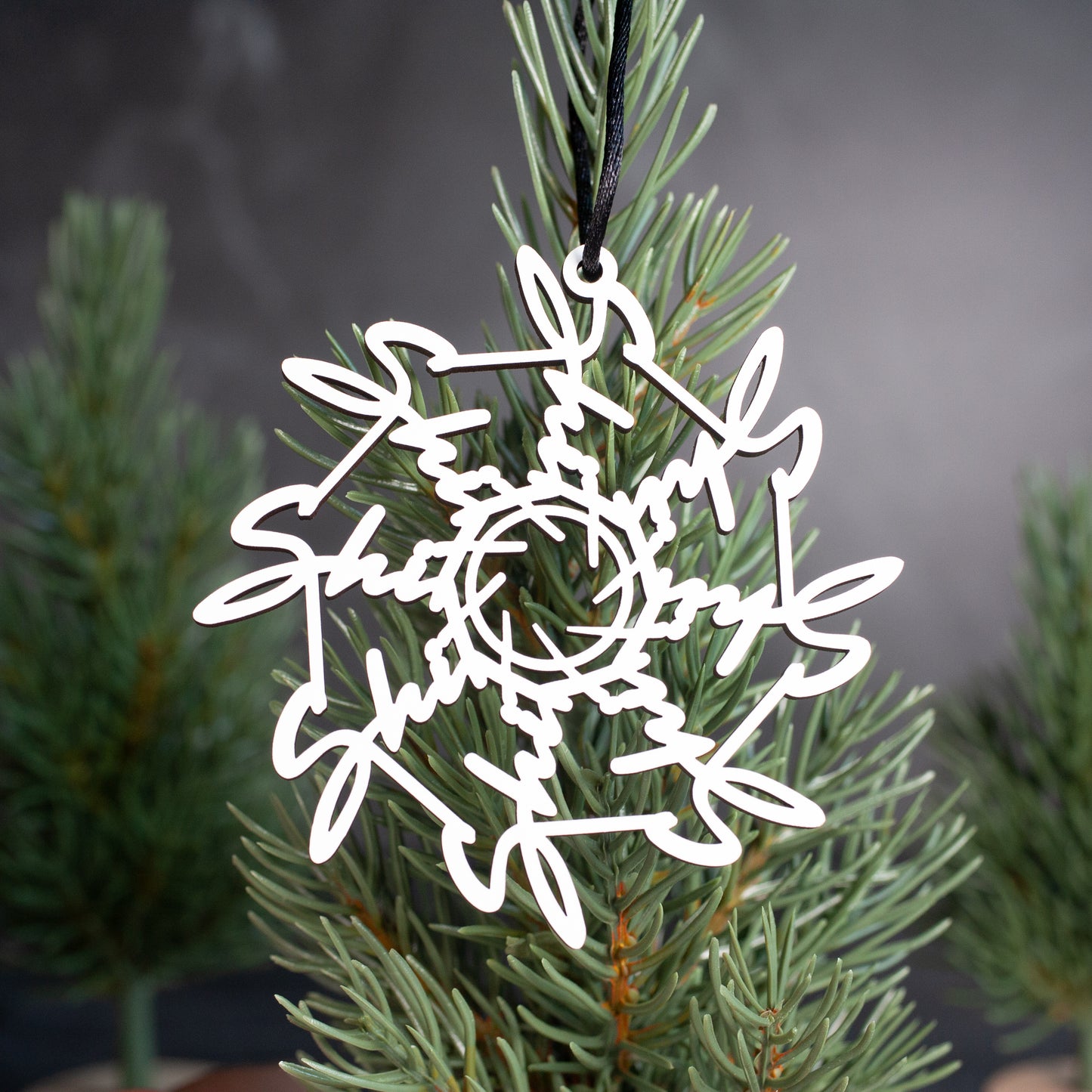 Swear Word Ornaments