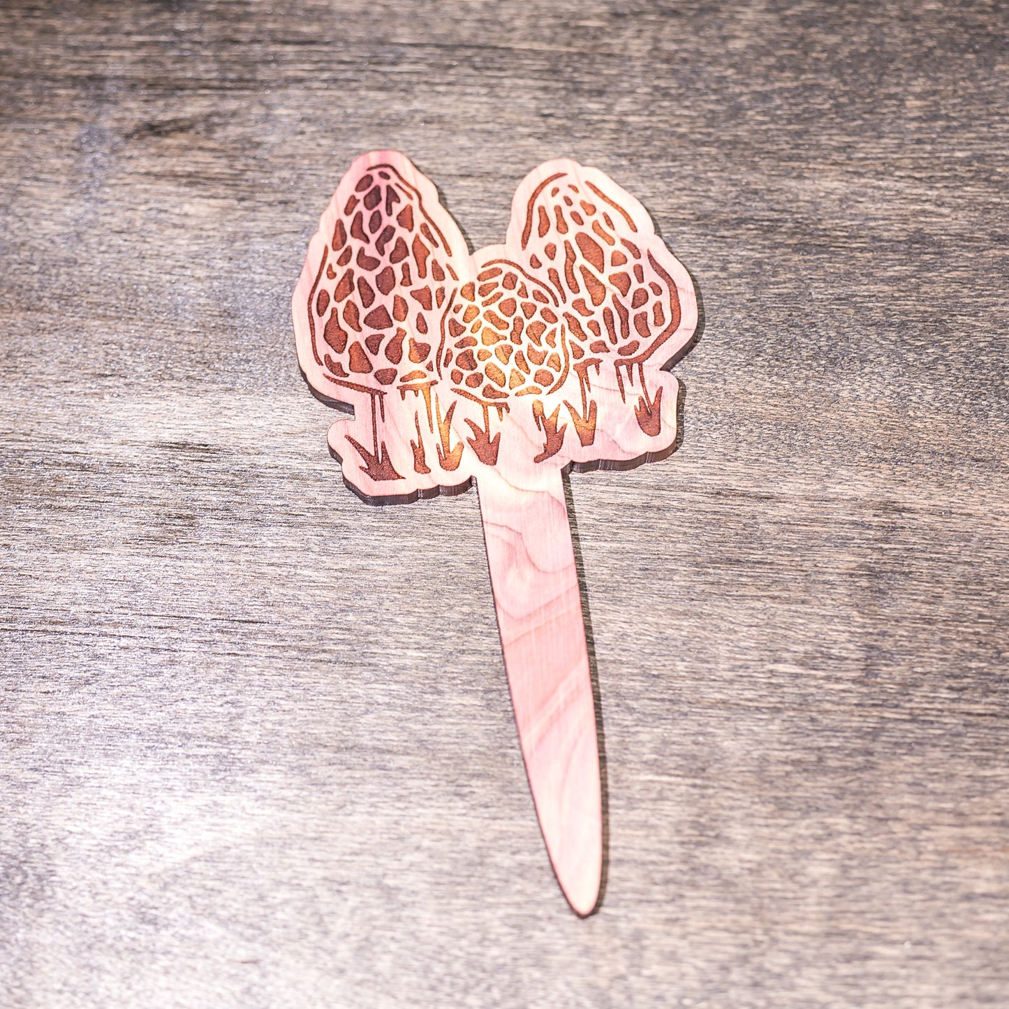 Plant Buddy: Morel Mushrooms