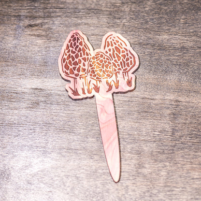 Plant Buddy: Morel Mushrooms