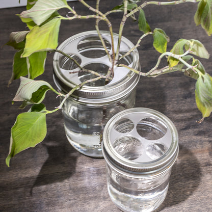 Propagation Jar Lid Insert