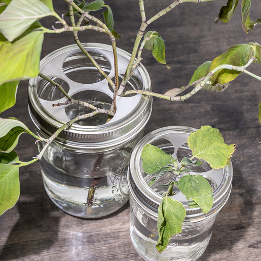 Propagation Jar Lid Insert