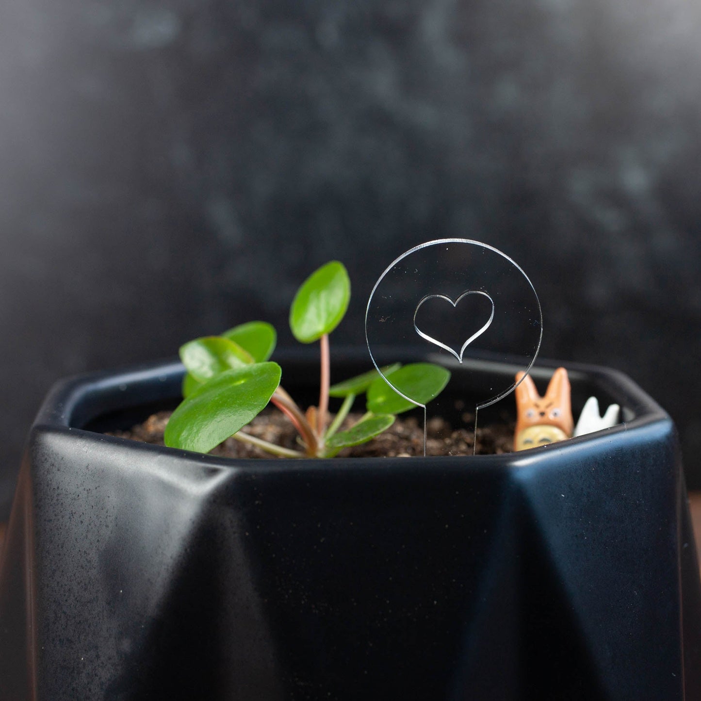 Funny Plant Markers - Laser Cut & Laser Engraved Clear Acrylic - Heart - by LeeMo Designs in Bend, Oregon