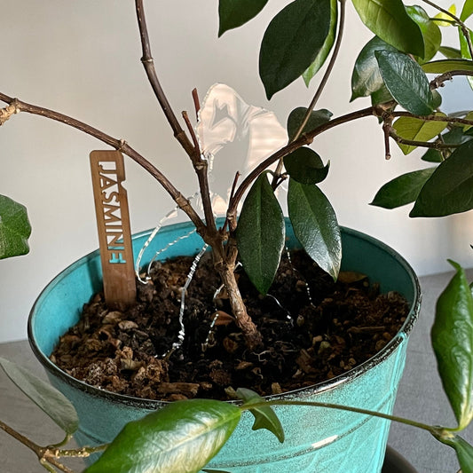 Bigfoot Garden Decor - Clear Acrylic in Jasmine Plant by LeeMo Designs in Bend, Oregon