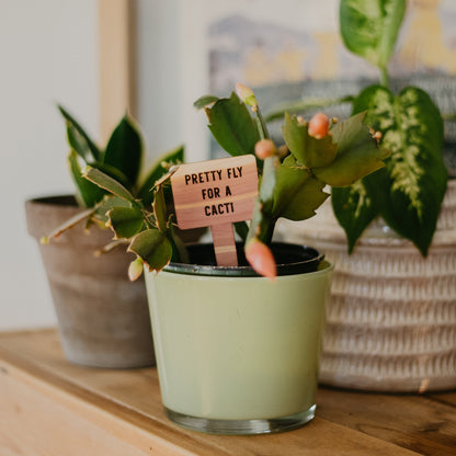 Funny Plant Markers - Laser Cut & Laser Engraved Cedar Wood - "Pretty Fly For A Cacti" - by LeeMo Designs in Bend, Oregon