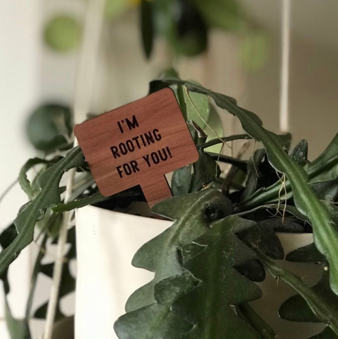 plant pot tags Cedar Wood Plant Tags – LeeMo Designs