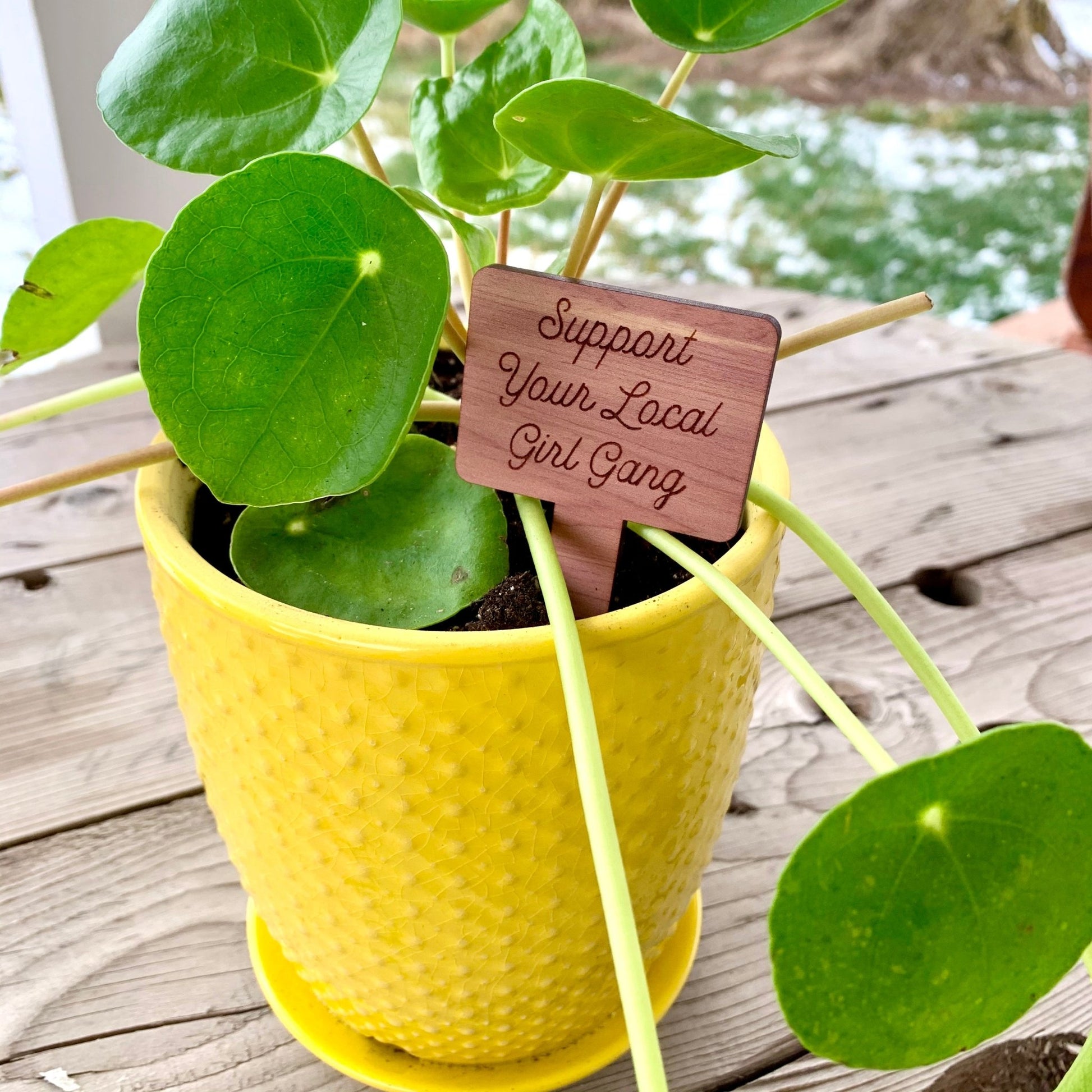 Plant Tags - Cedar Wood - "Support Your Local Girl Gang" - by LeeMo Designs in Bend, Oregon