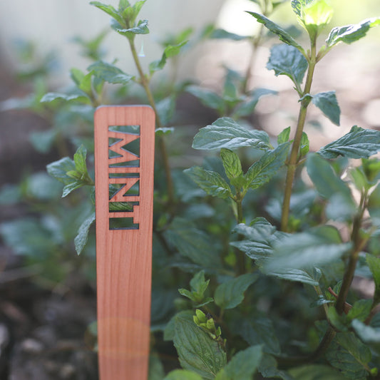 Herb Garden Marker Laser Cut Cedar Wood Mint by LeeMo Designs in Bend, OR