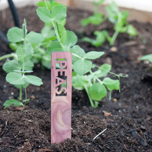 Vegetable Garden Marker Laser Cut Cedar Wood Peas by LeeMo Designs in Bend, OR