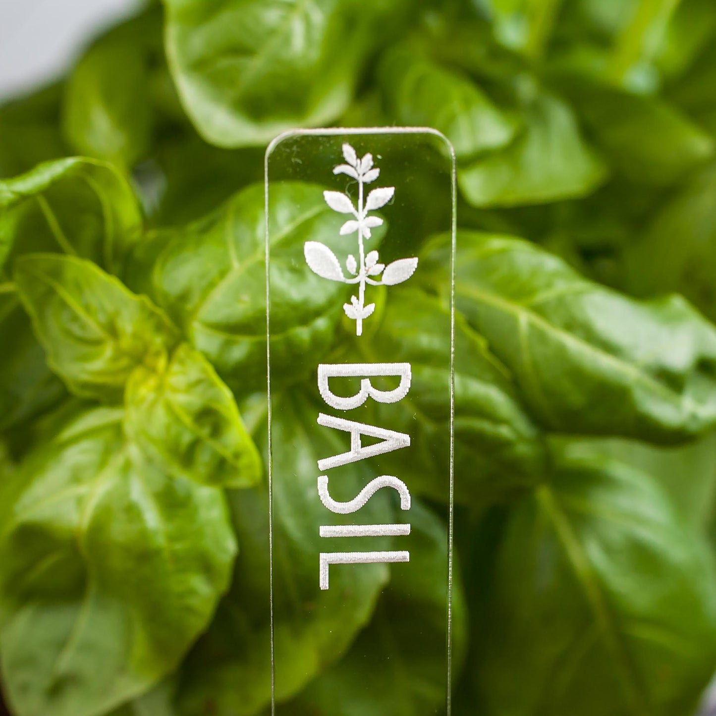 Herb Garden Marker Laser Cut Clear Acrylic Basil Image Icon by LeeMo Designs in Bend, OR