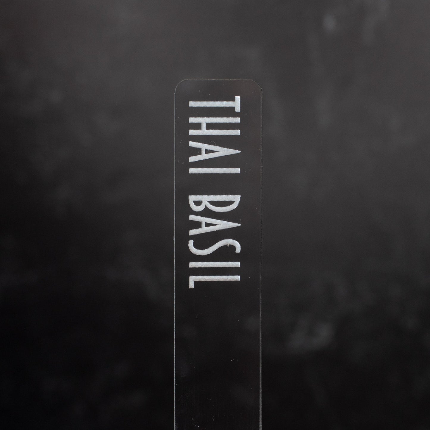 Herb Garden Marker Laser Cut Clear Acrylic Basil Modern Font by LeeMo Designs in Bend, OR