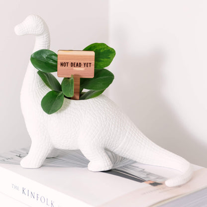 Funny Plant Markers - Cedar Wood - LeeMo Designs