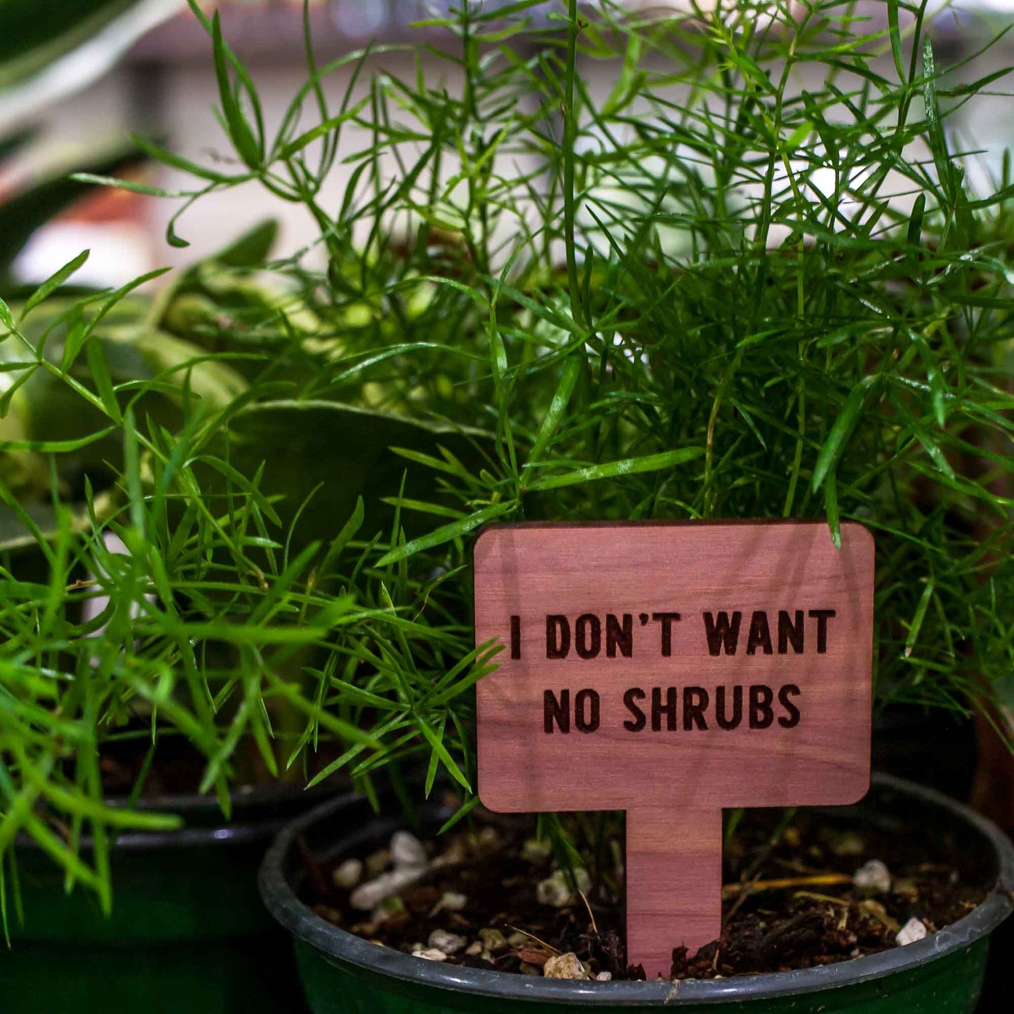 Funny Plant Markers - Cedar Wood - LeeMo Designs