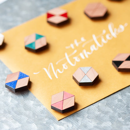 Decorative Refrigerator Magnets - Hexagonal cedar wood, hand painted by LeeMo Designs in Bend, Oregon
