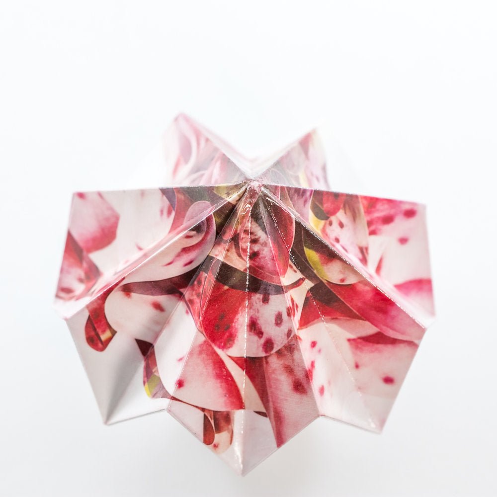 Origami Night Light: No Time To Look At A Flower By Artist Lisa Marie Sipe in collaboration with LeeMo Designs in Bend, Oregon