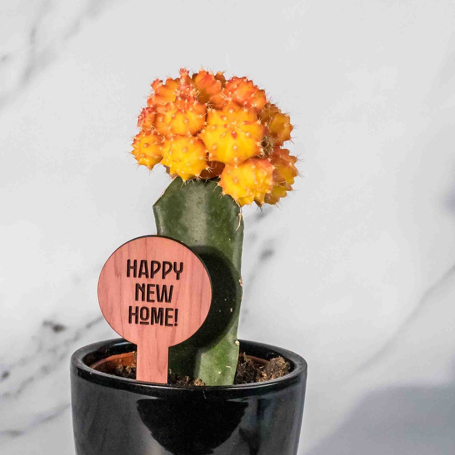 Plant Tags - Circular - LeeMo Designs