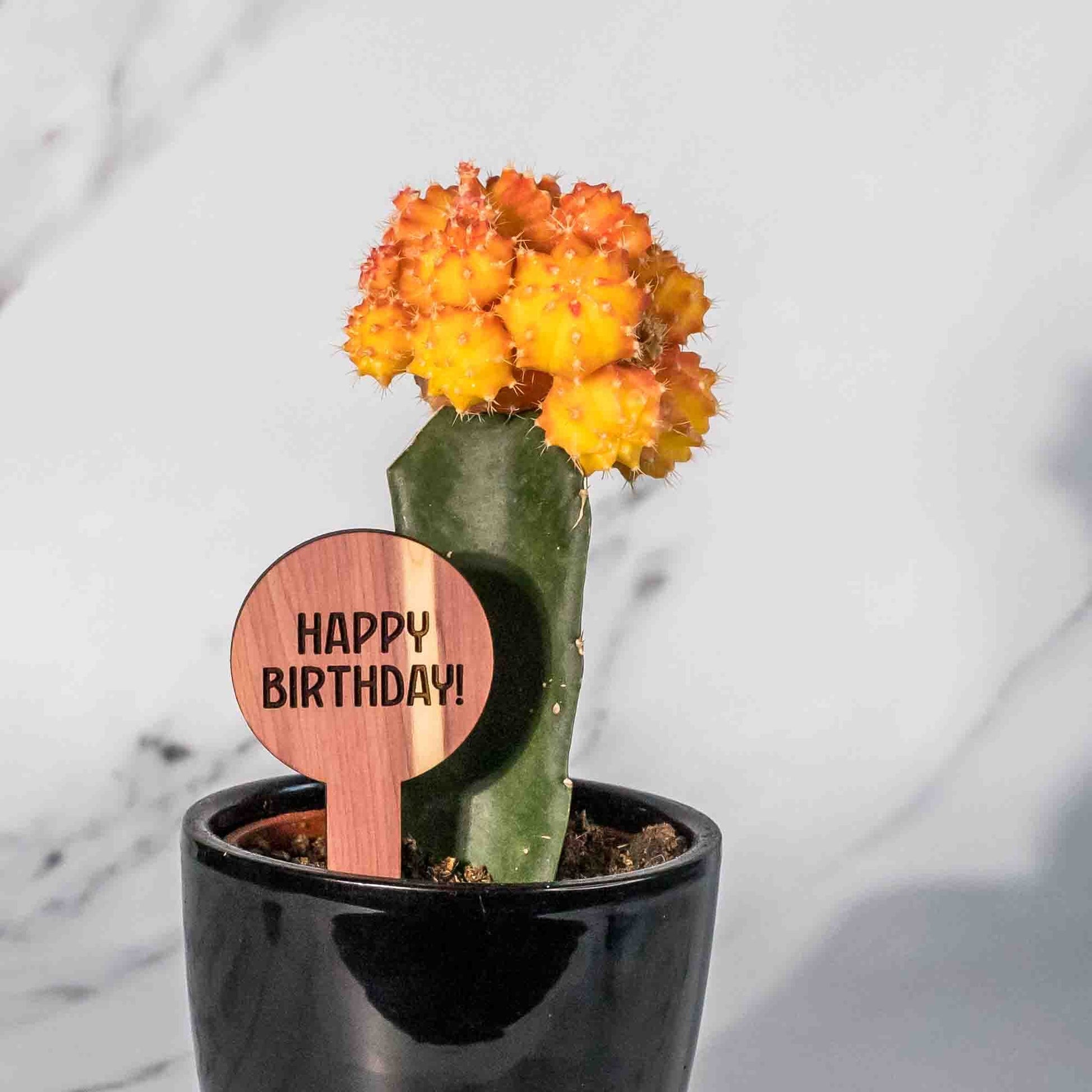 Plant Tags - Circular - LeeMo Designs