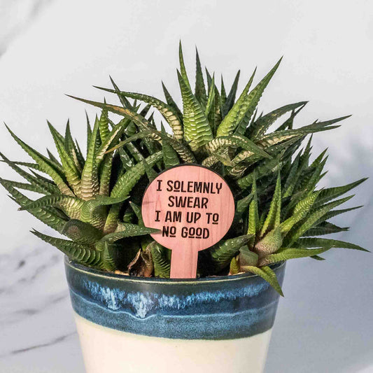 Plant Tags - Circular - LeeMo Designs