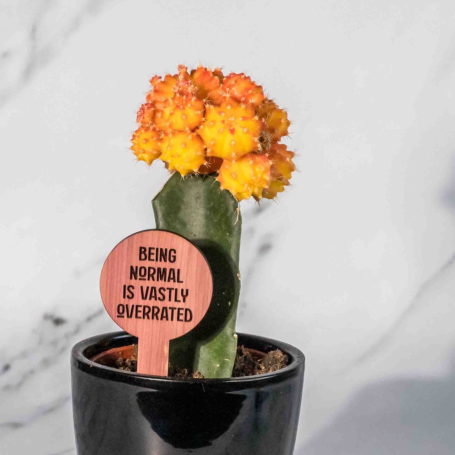 Plant Tags - Circular - LeeMo Designs