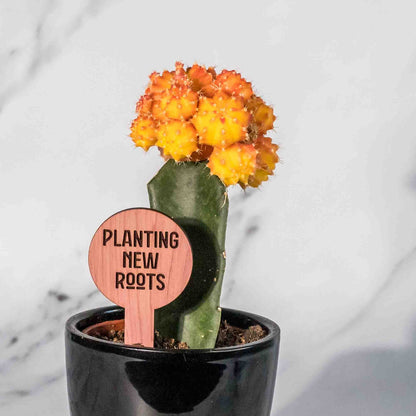 Plant Tags - Circular - LeeMo Designs